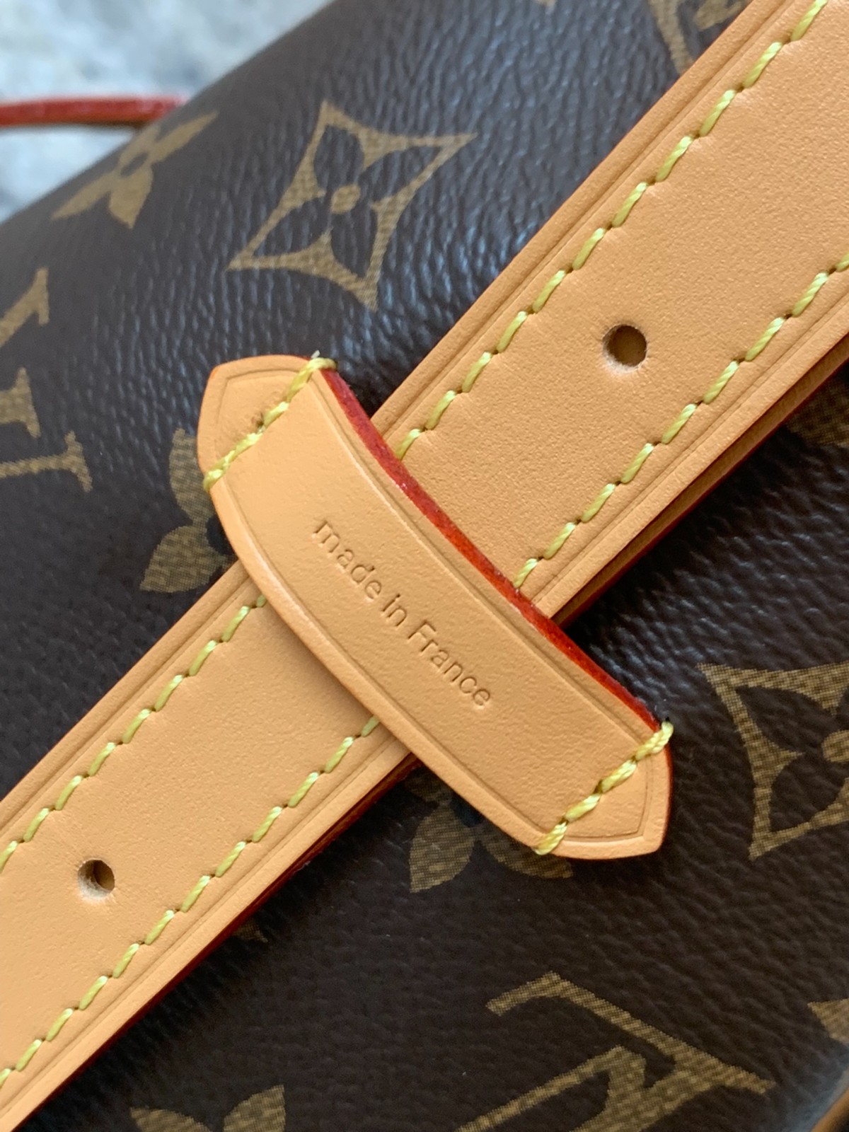 Carryall小號手袋M46203_13