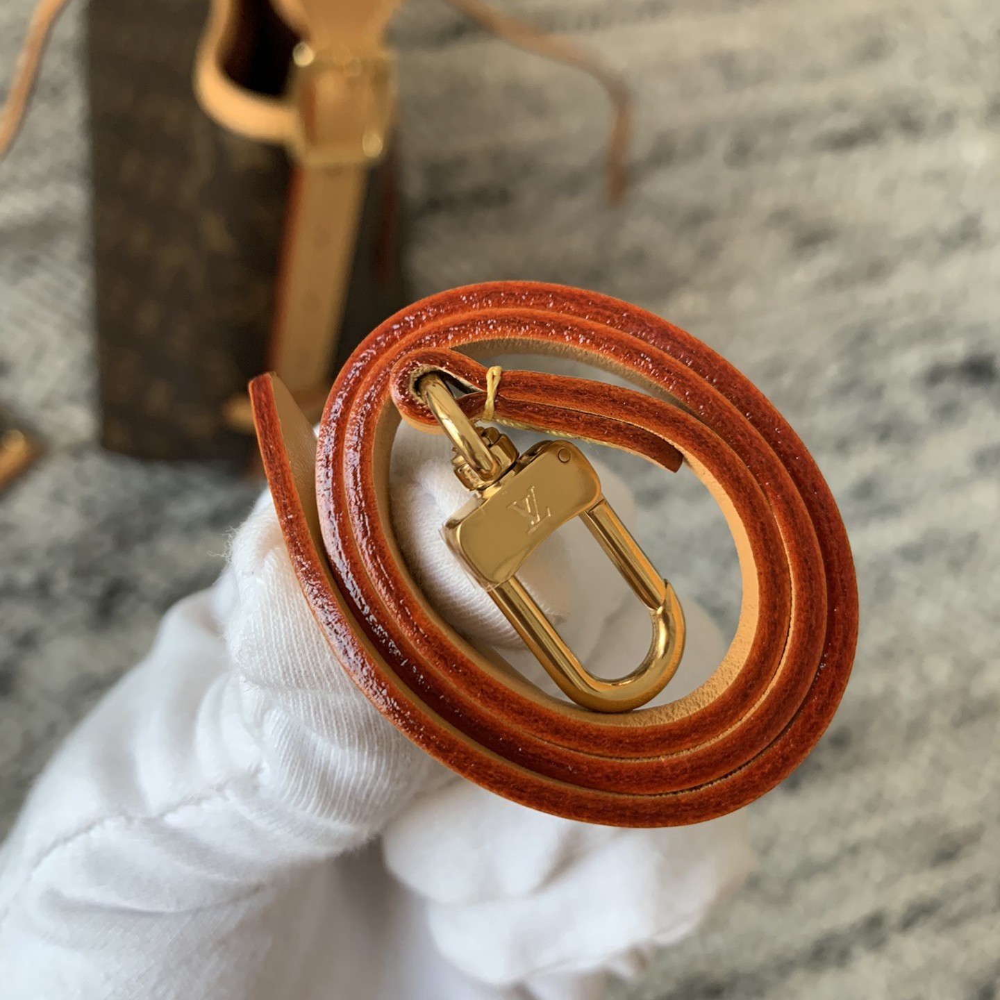 Carryall小號手袋M46203_25