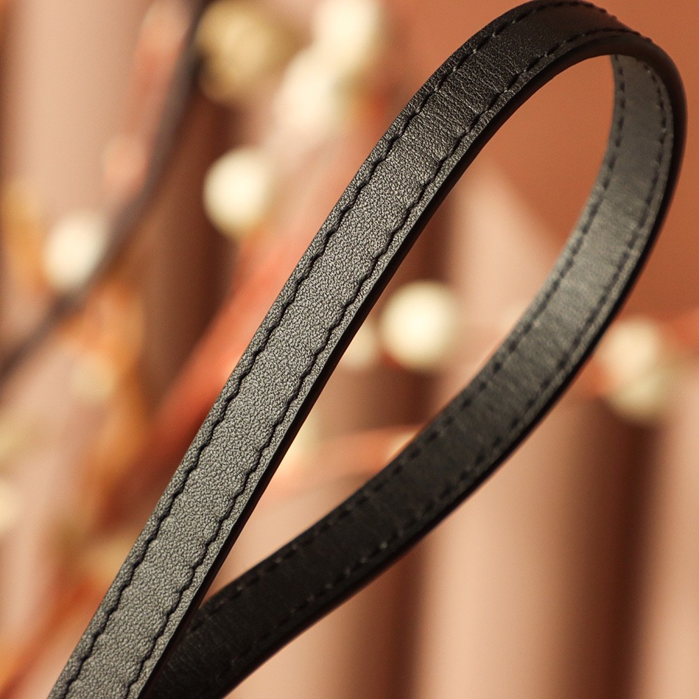 Rassy郵差鏈條包 M45592_14