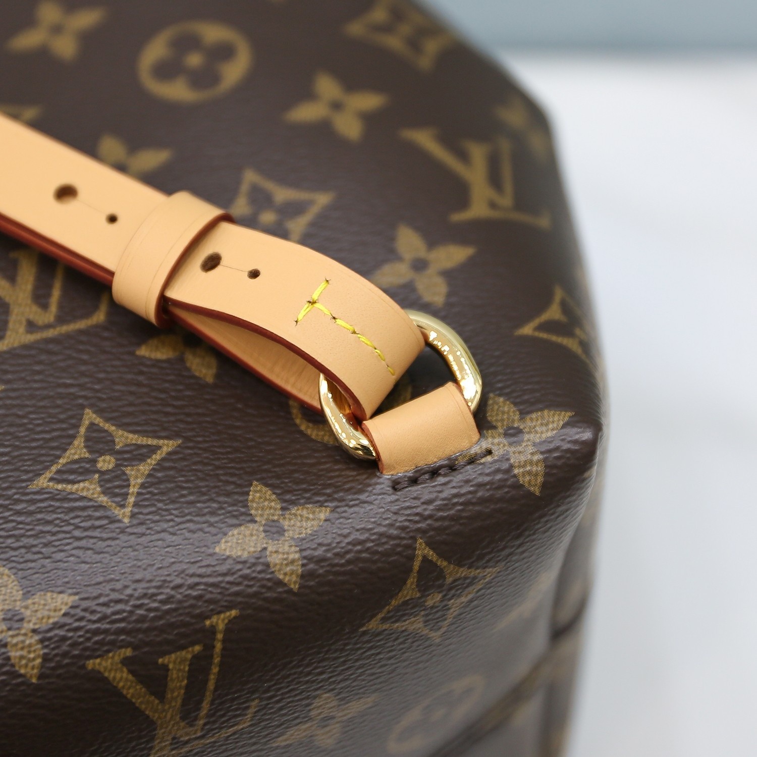 Montsouris小號雙肩包M45501_10