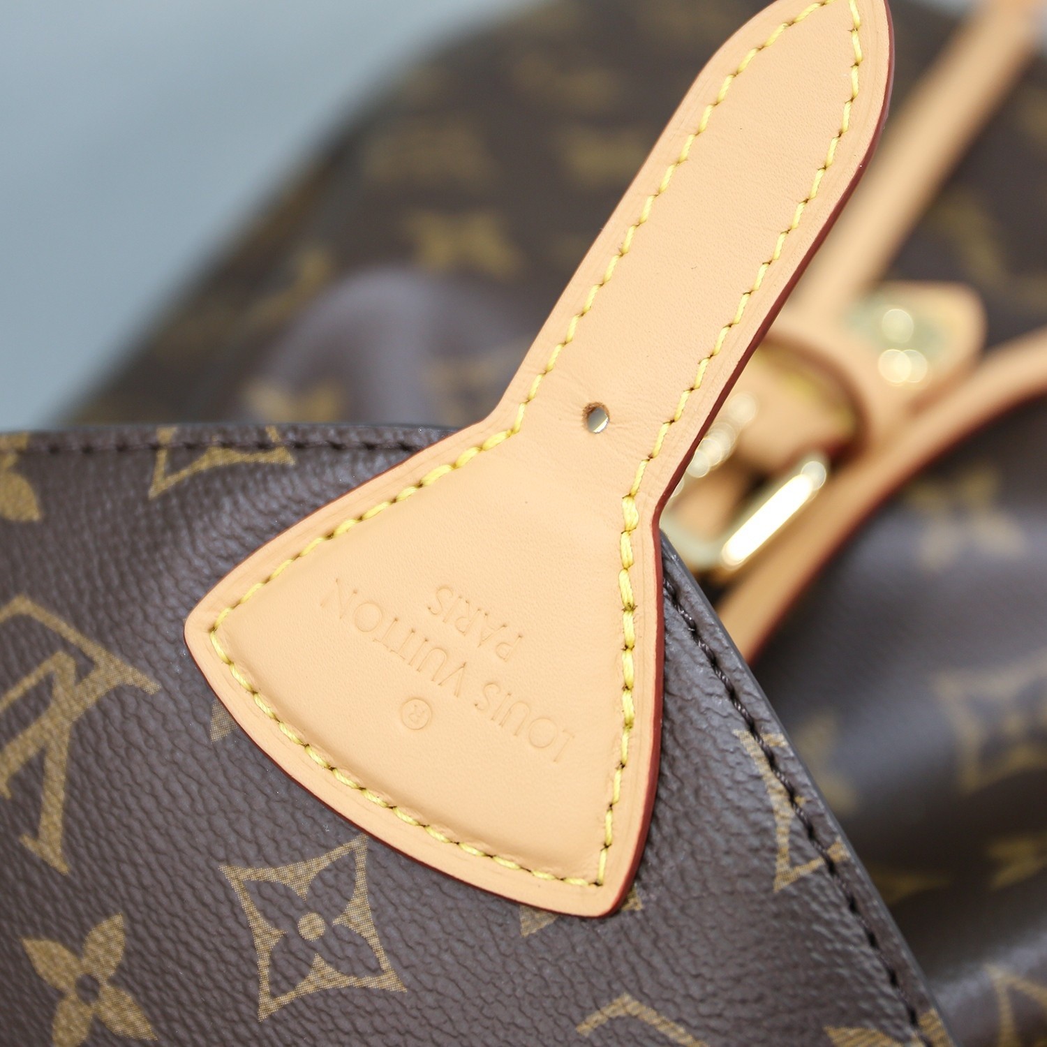 Montsouris小號雙肩包M45501_13