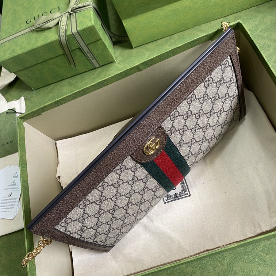 503876 Ophidia 鍊條包 大號_6