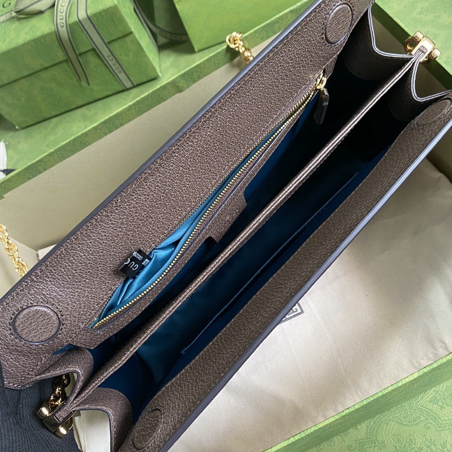 503876 Ophidia 鍊條包 大號_7