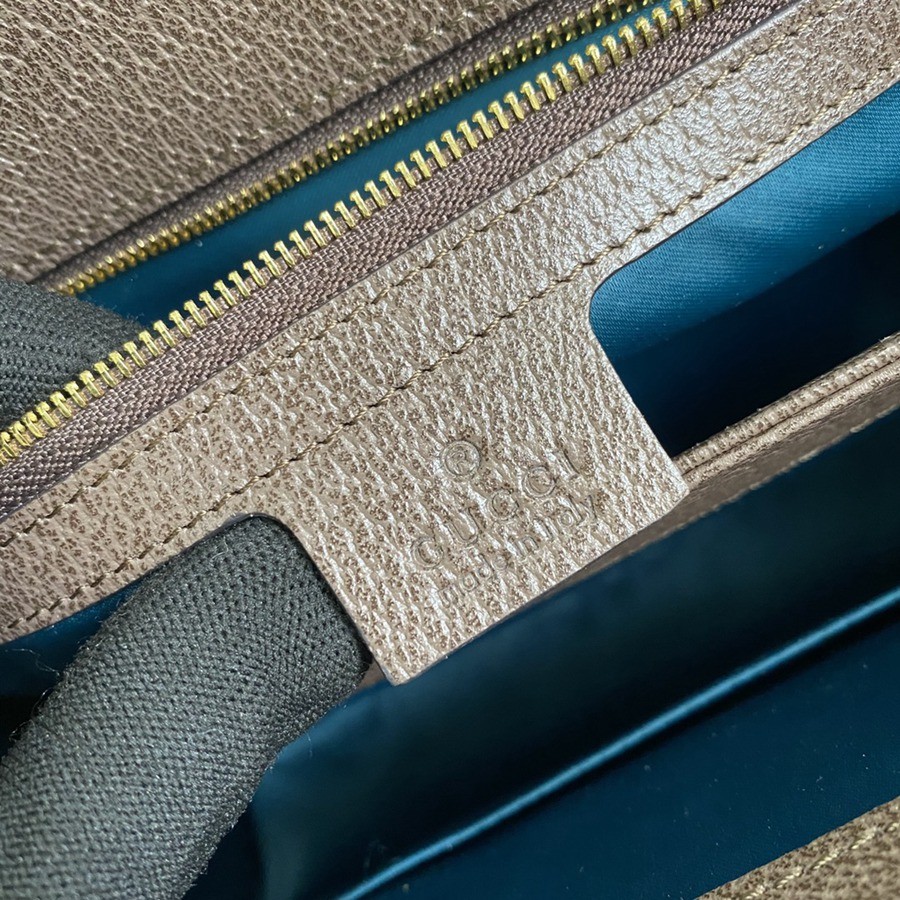 503876 Ophidia 鍊條包 大號_8