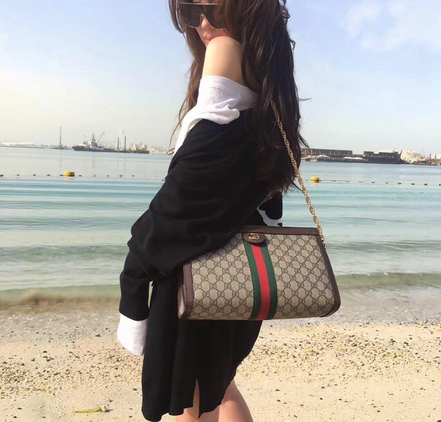 503876 Ophidia 鍊條包 大號_10