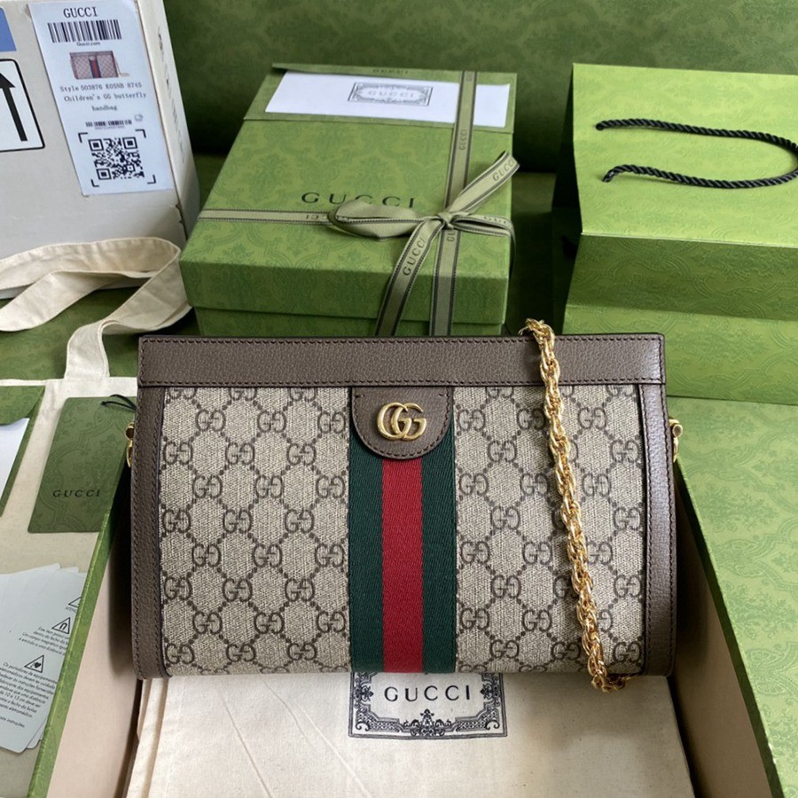 503877Ophidia 鍊條包 中號_1