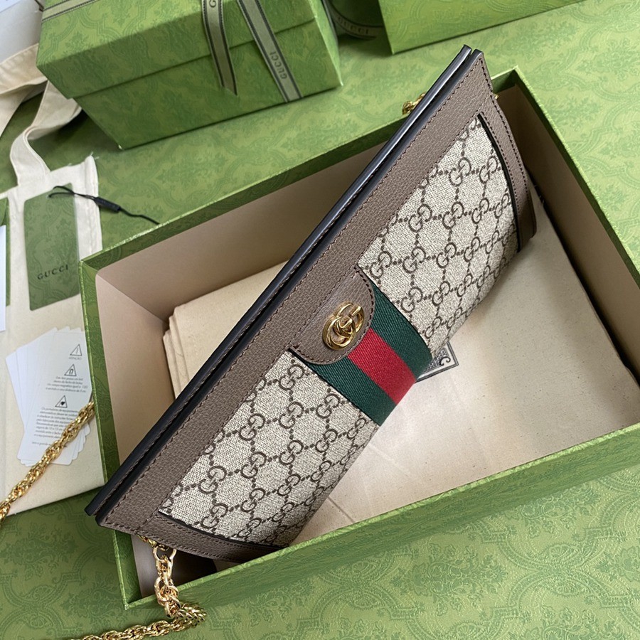 503877Ophidia 鍊條包 中號_5