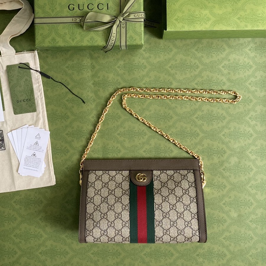 503877Ophidia 鍊條包 中號_9