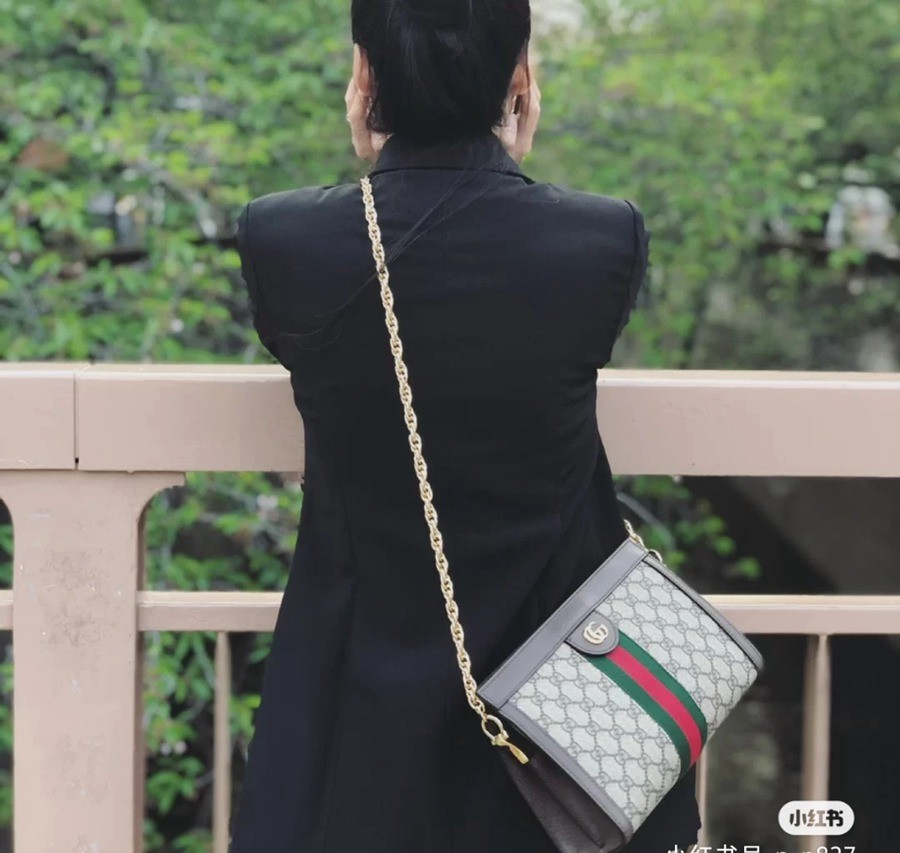 503877Ophidia 鍊條包 中號_11