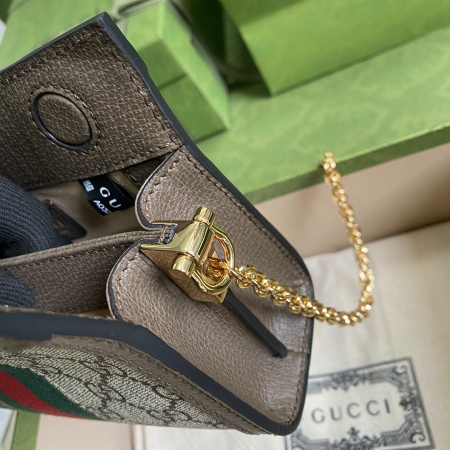 602676 Ophidia 鍊條包 小號_7