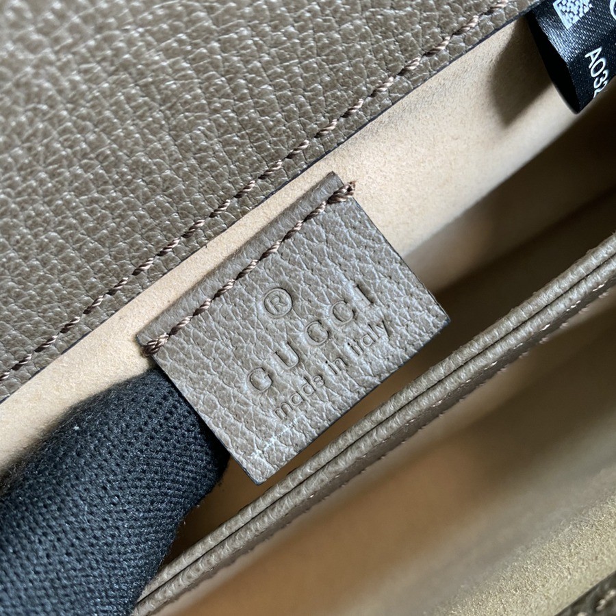 602676 Ophidia 鍊條包 小號_8