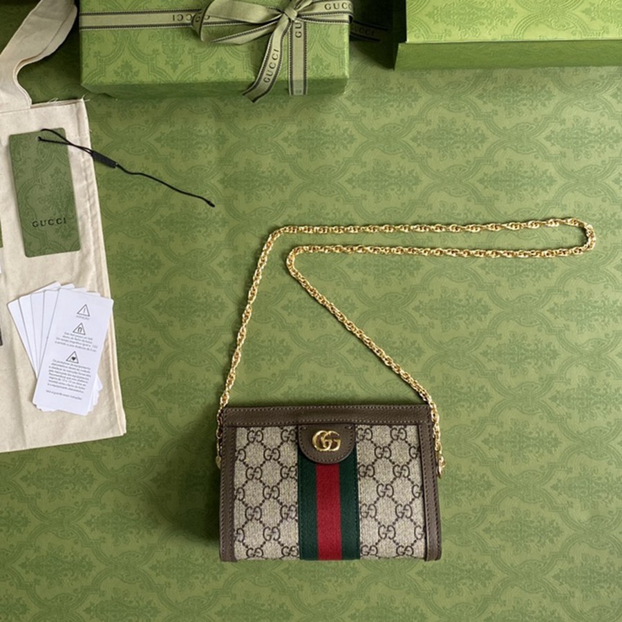 602676 Ophidia 鍊條包 小號_9