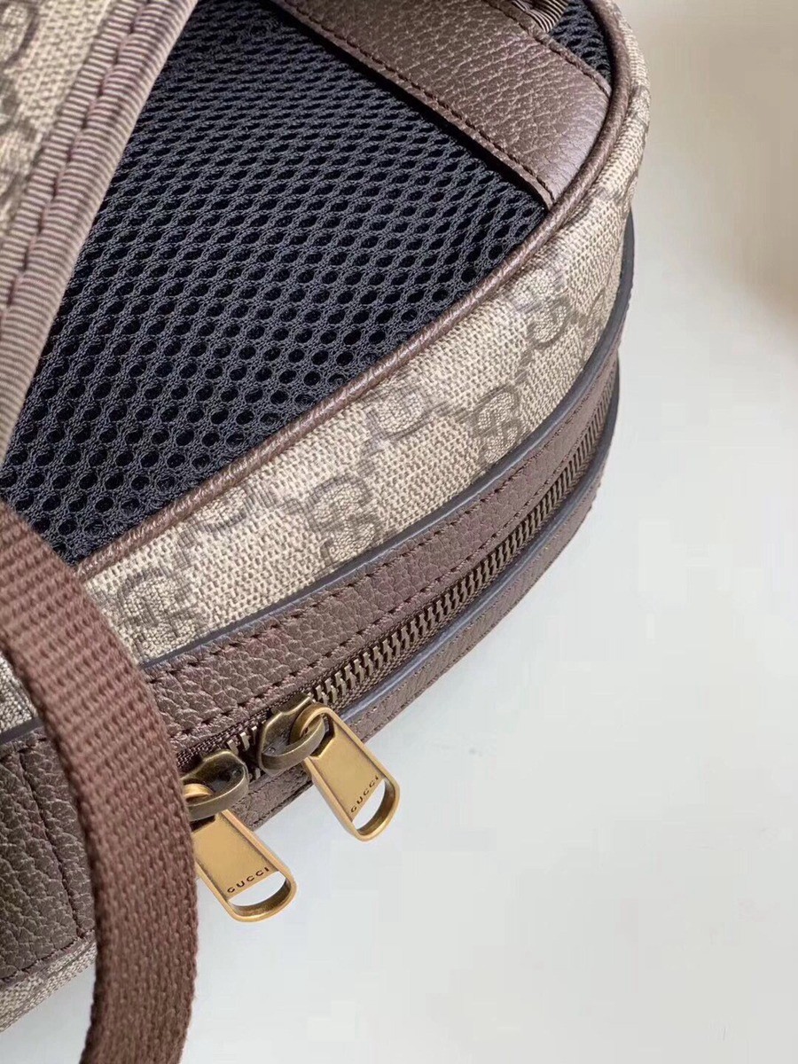 547965 Ophidia雙肩背包_3