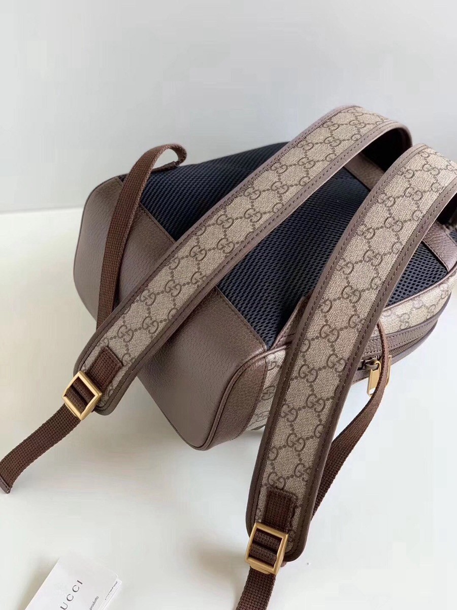 547965 Ophidia雙肩背包_4