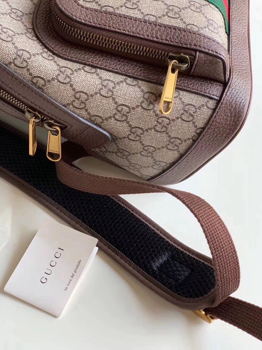 547965 Ophidia雙肩背包_6