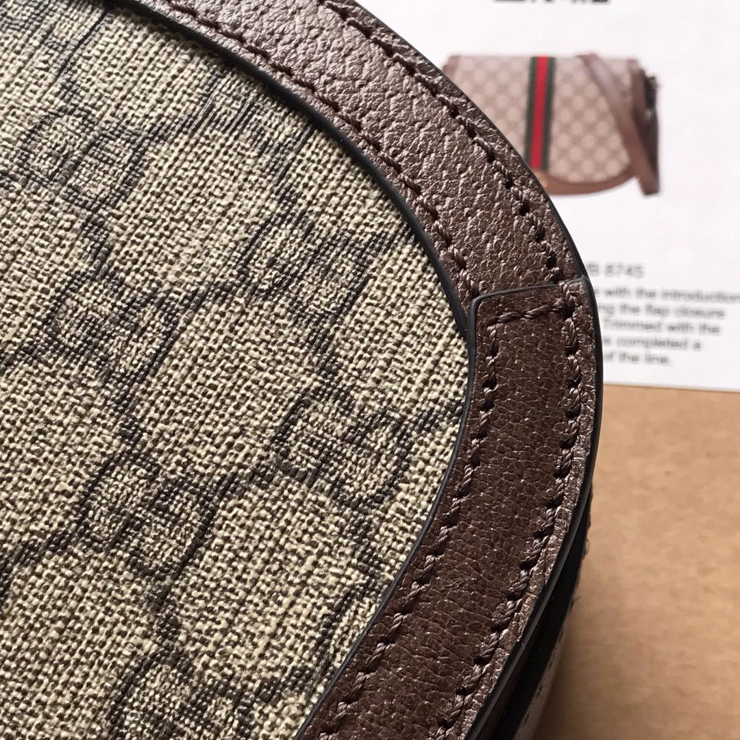 601044 Ophidia 肩背包_5