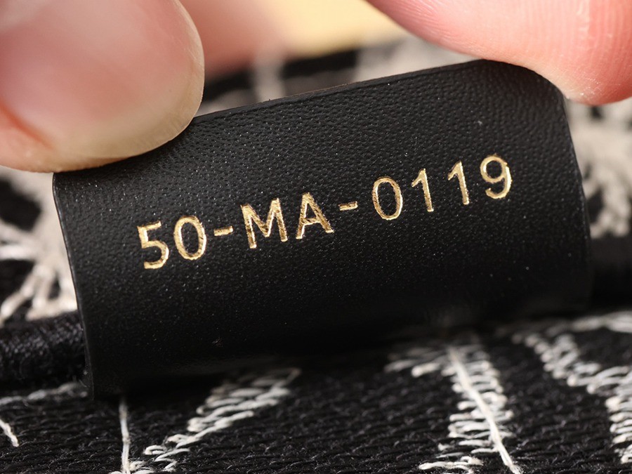 中號BOOK TOTE手袋黑色和白色 Dior Around the World 圖案刺繡_13