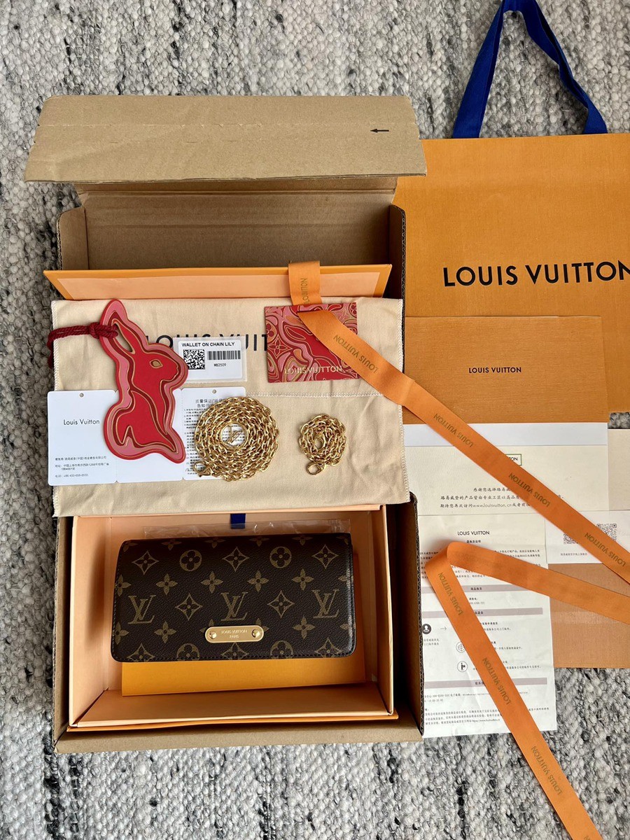 Lily Wallet On Chain 手袋 M82509_11