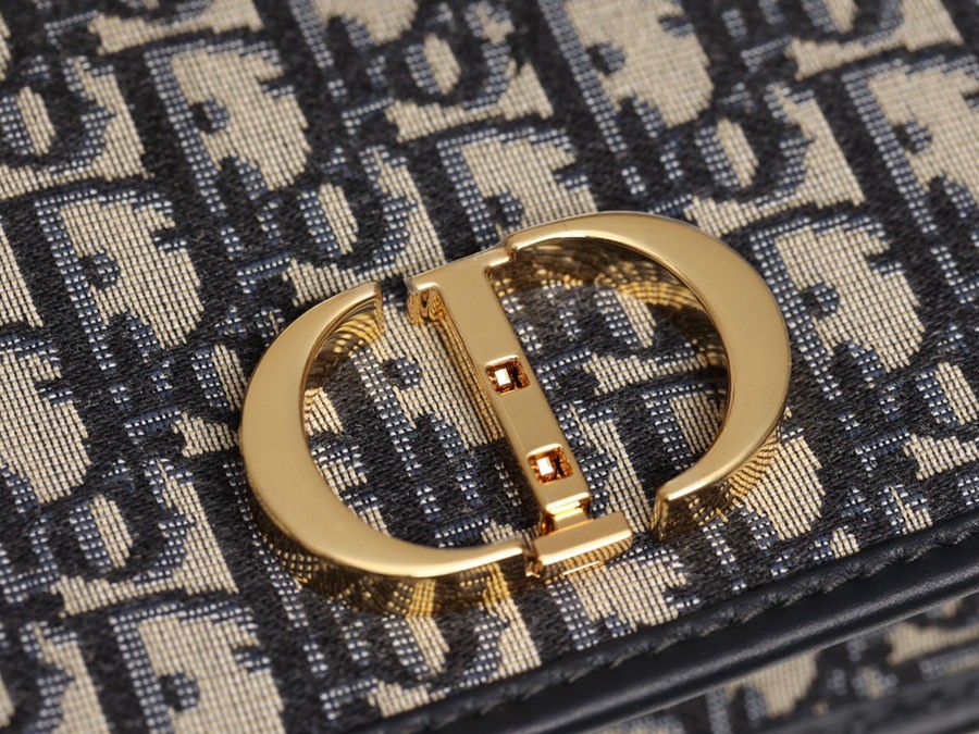 30 MONTAIGNE EAST-WEST 鏈條手袋藍色 Oblique 印花_10