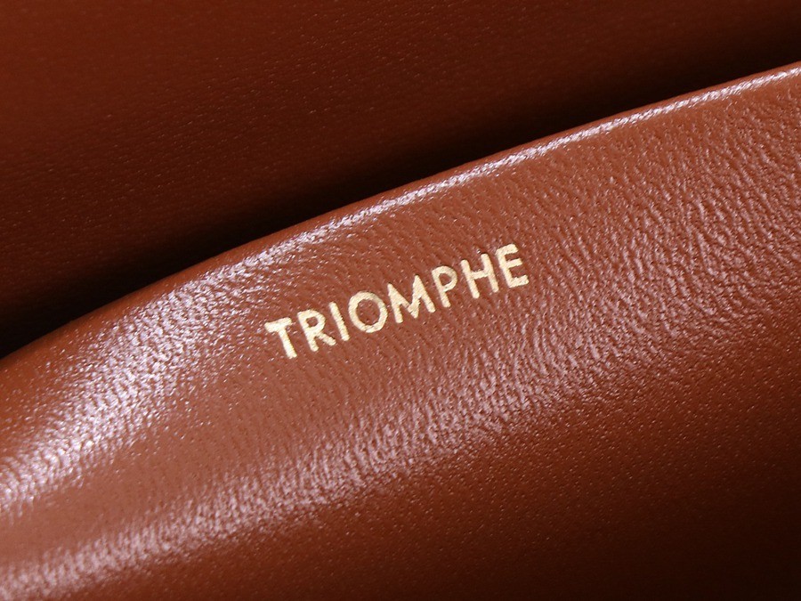 CELINE Triomphe 凱旋門腋下包_13