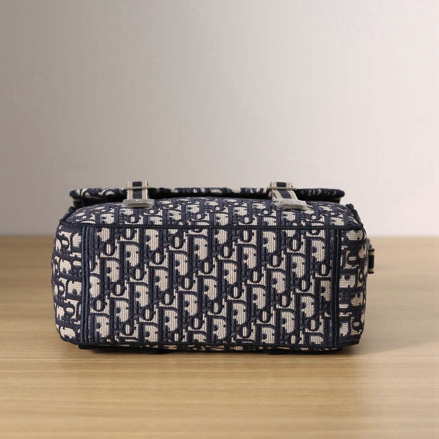 DIOR CAMP 手袋藍色刺繡 Oblique 印花_4