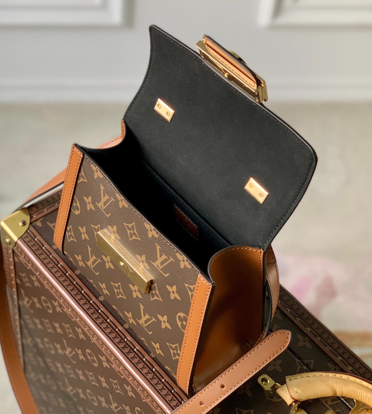 M46751 Dauphine Capitale 手袋_2