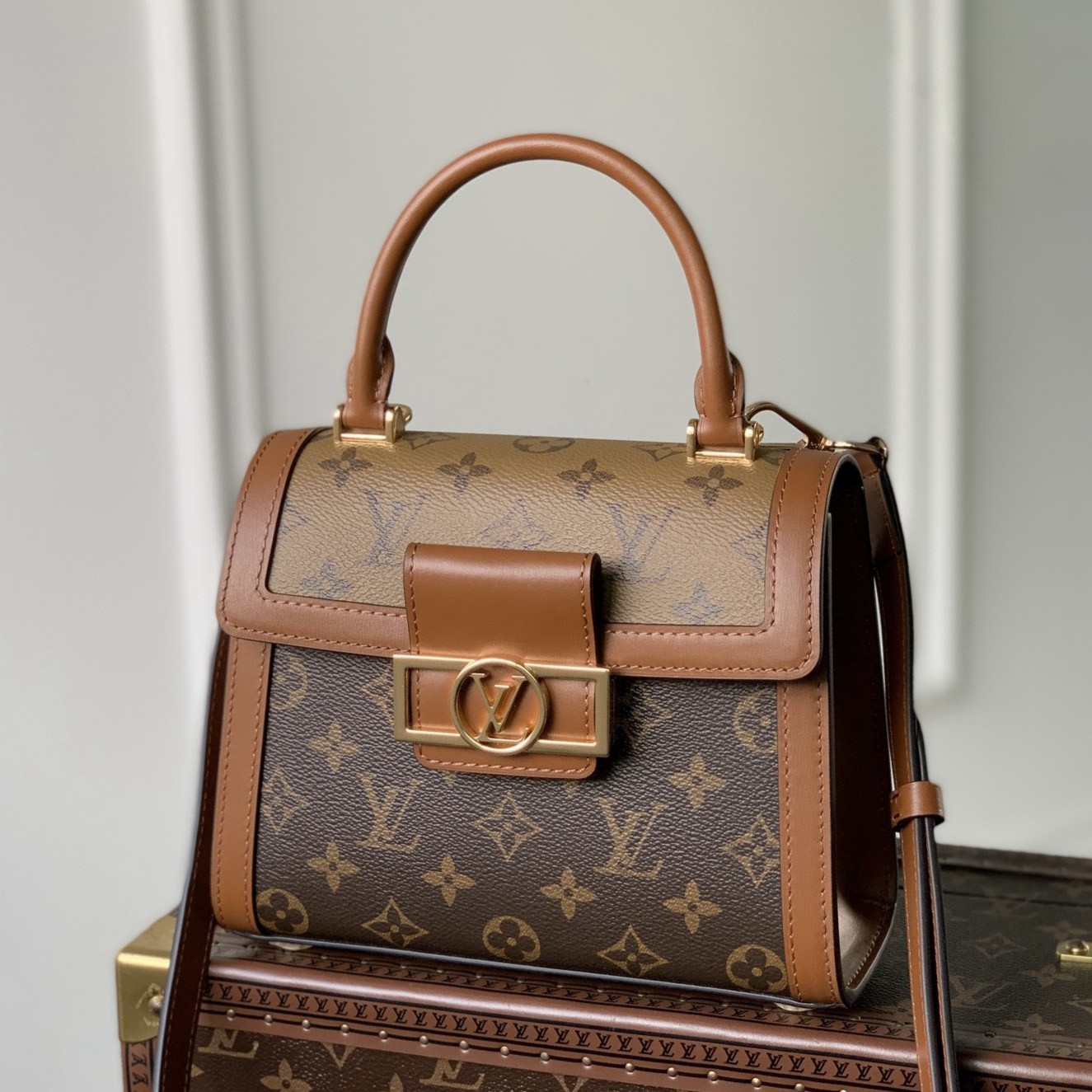 M46751 Dauphine Capitale 手袋_1