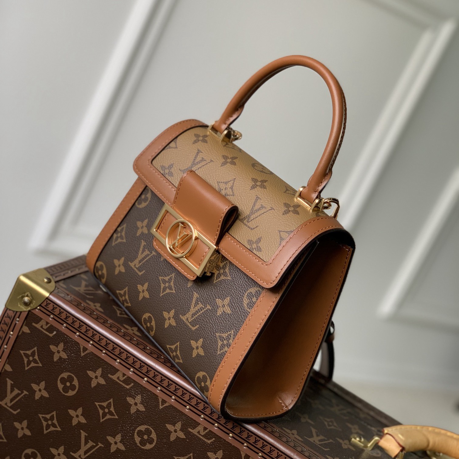 M46751 Dauphine Capitale 手袋_3