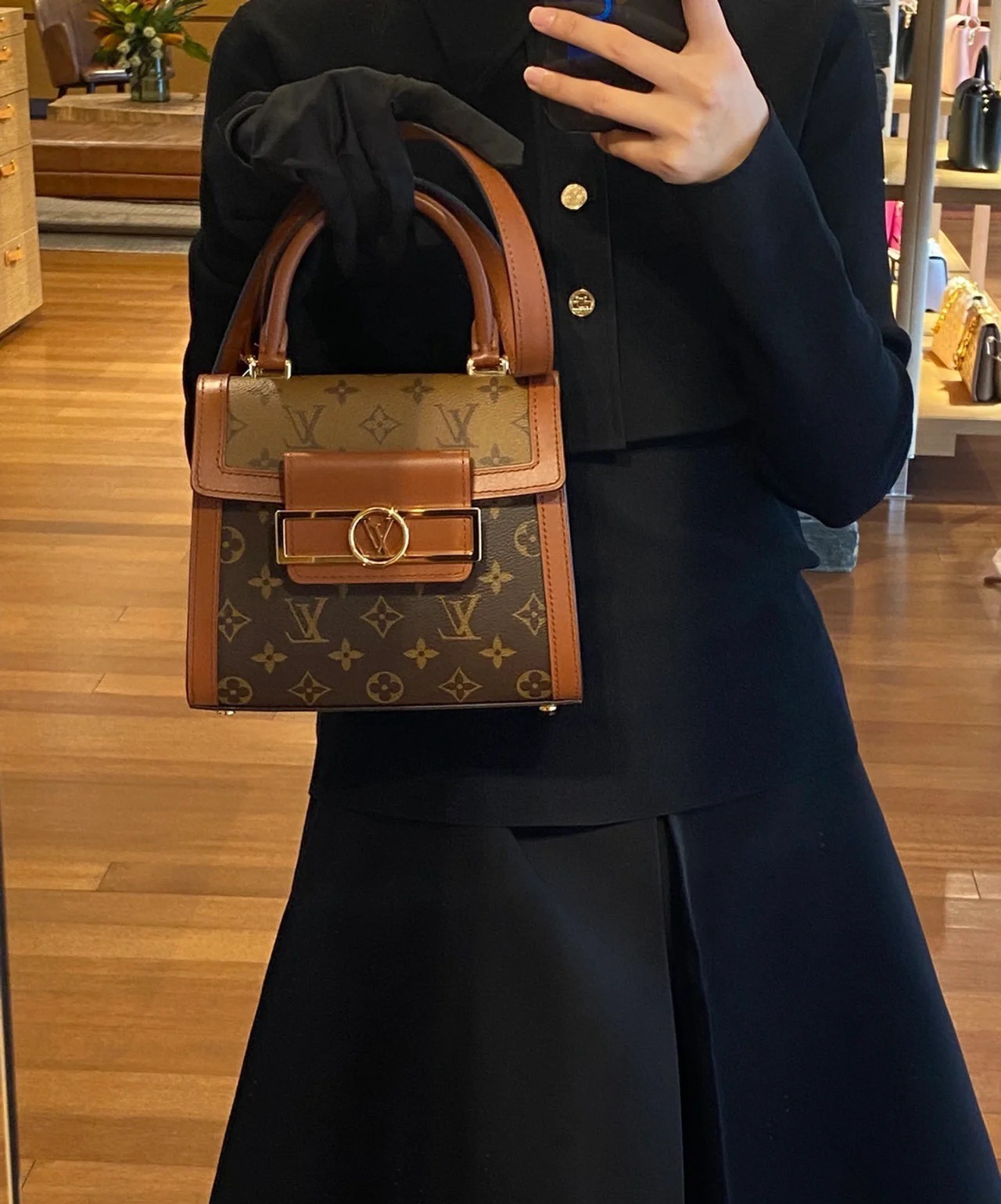 M46751 Dauphine Capitale 手袋_9