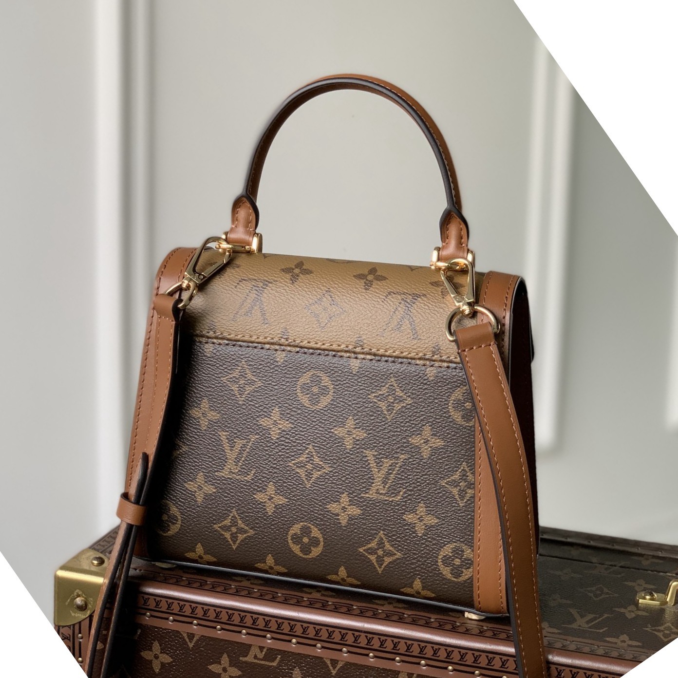 M46751 Dauphine Capitale 手袋_4