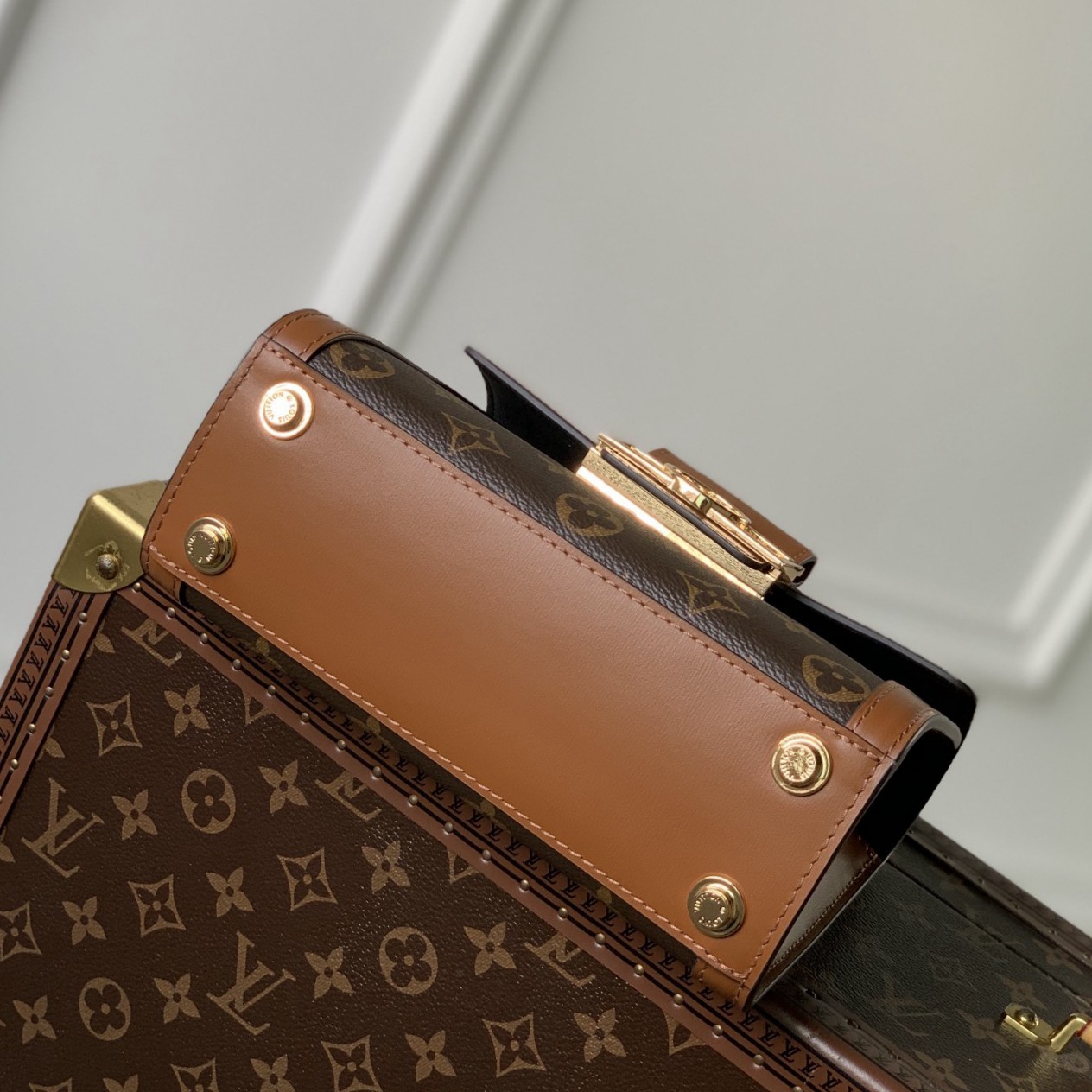 M46751 Dauphine Capitale 手袋_8