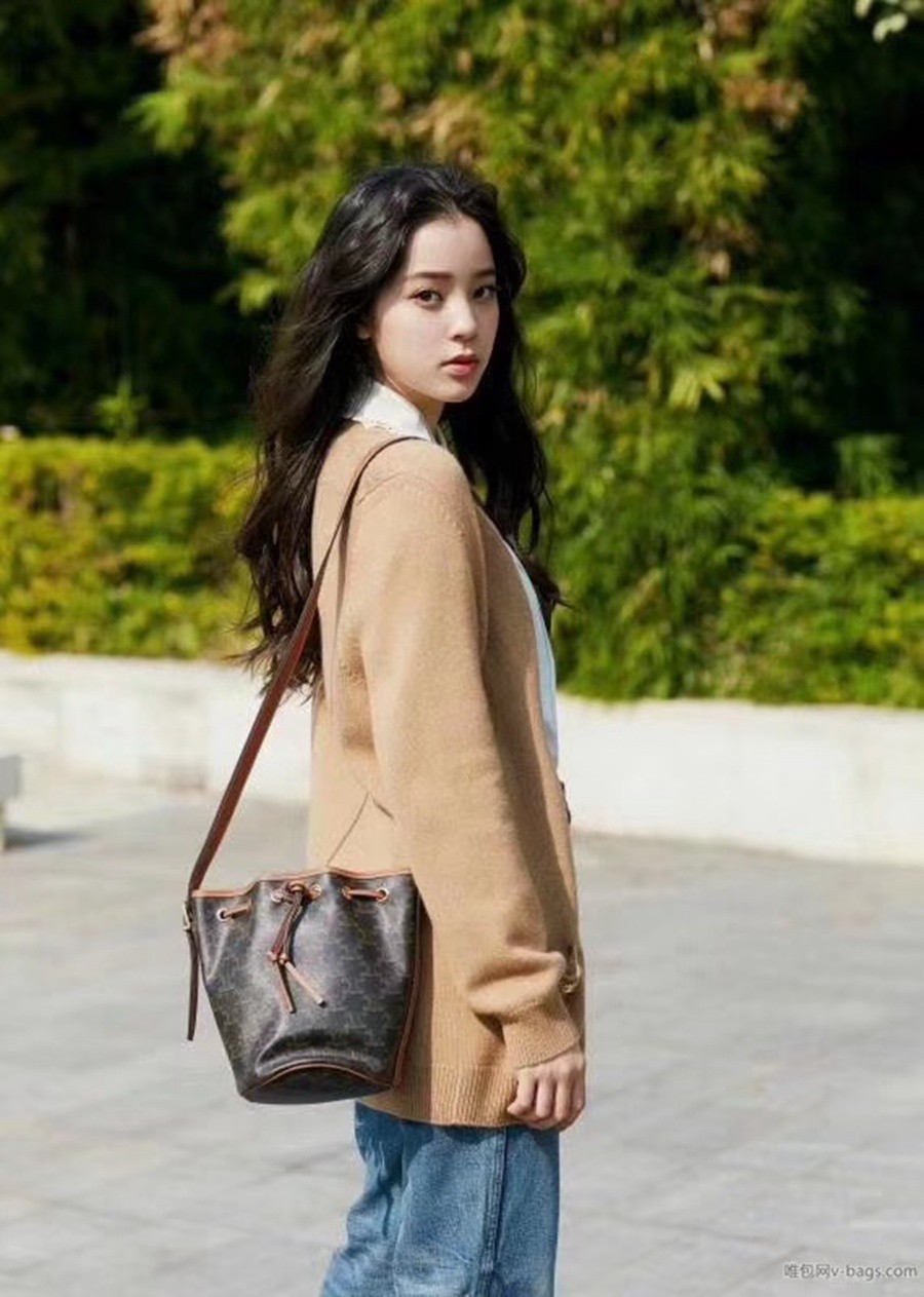 CELINE Triomphe  印花抽繩包_10