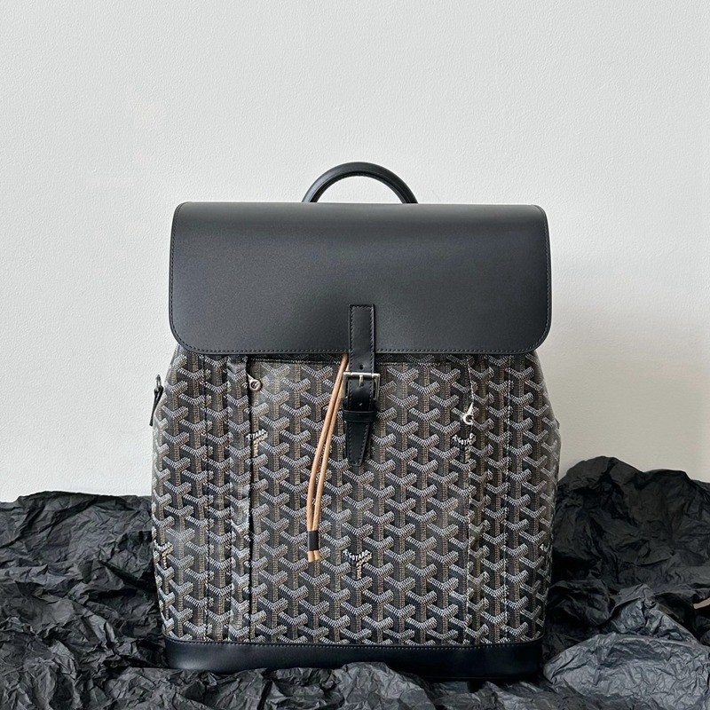 Alpin MM男士翻蓋雙肩包_2