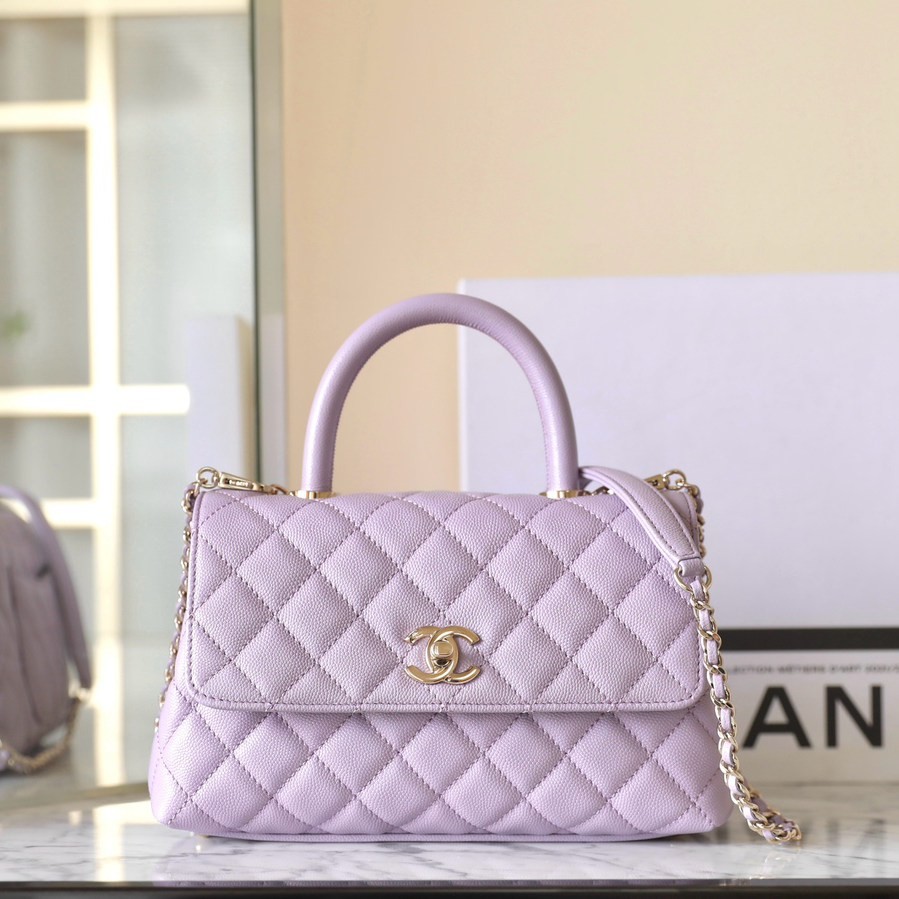 24P CocoHandle 淡紫色小號_1