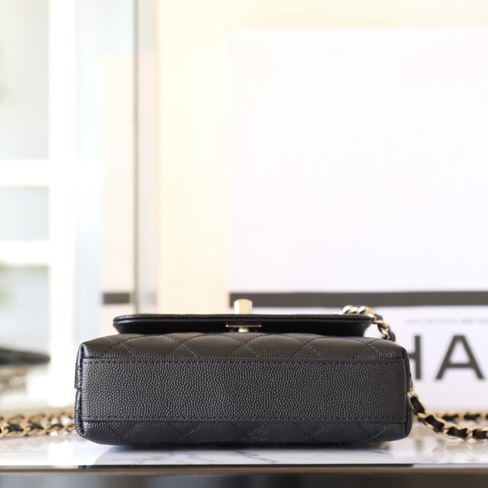 Mini Cocohandle鏈條手提包_8