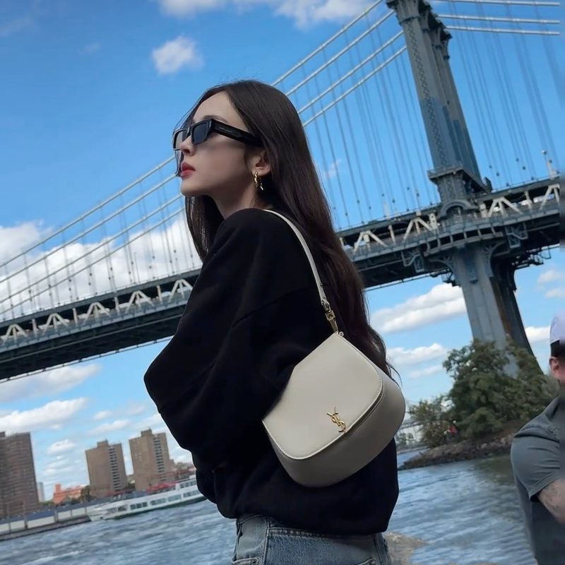 Voltaire Box Saint Laurent手提包 白色_7