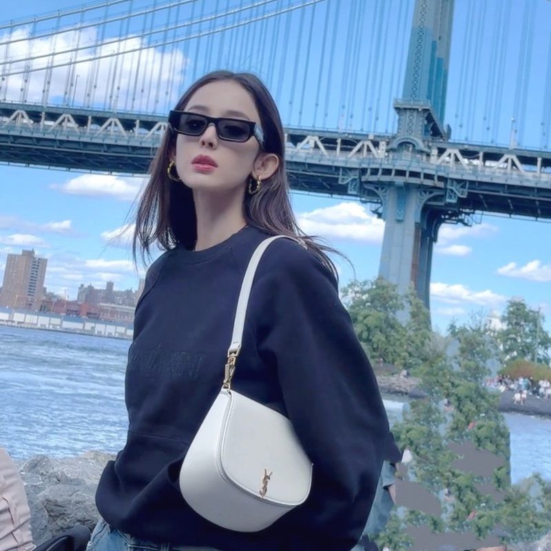 Voltaire Box Saint Laurent手提包 白色_8