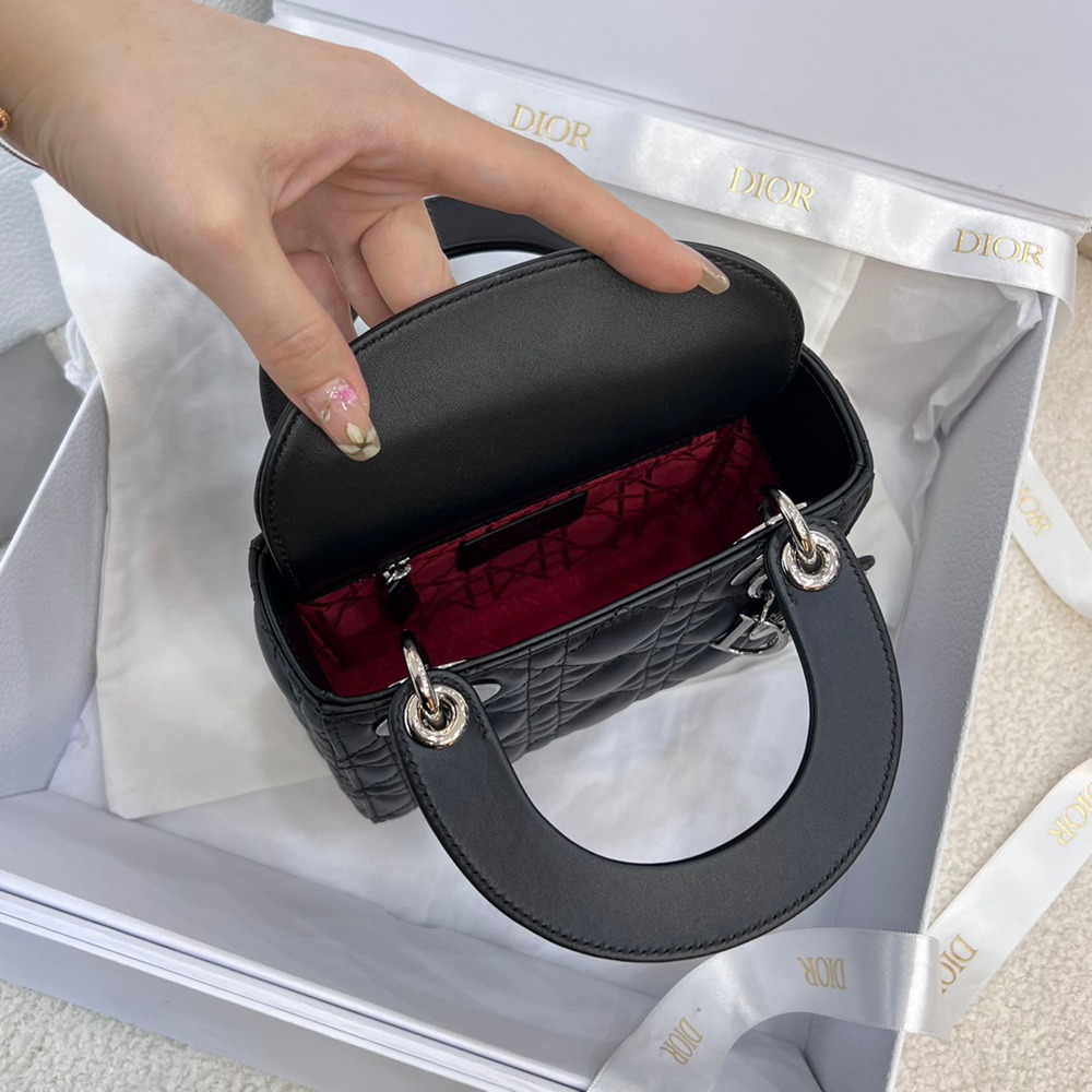 Mini Lady黑色羊皮銀_4