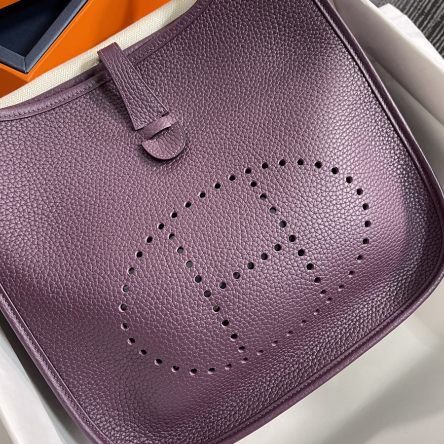 伊芙琳Evelyn 29 加侖紫 cassis 銀扣TC皮_3