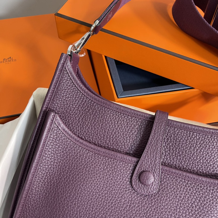 伊芙琳Evelyn 29 加侖紫 cassis 銀扣TC皮_5