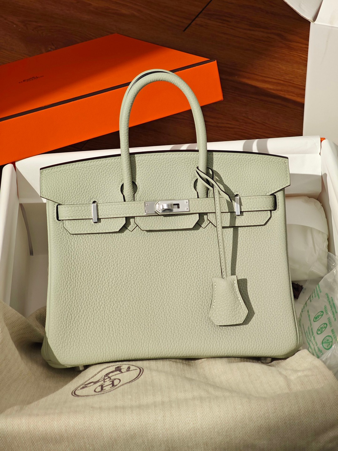 Birkin25 水晶灰銀扣 Togo皮_9